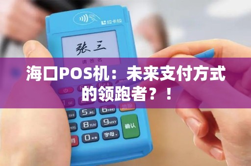 海口POS机：未来支付方式的领跑者？！