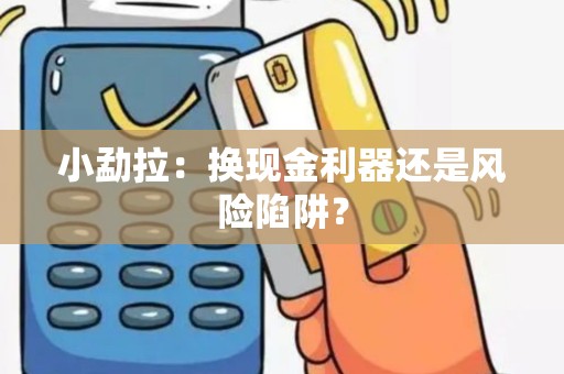 小勐拉：换现金利器还是风险陷阱？