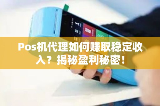 Pos机代理如何赚取稳定收入？揭秘盈利秘密！