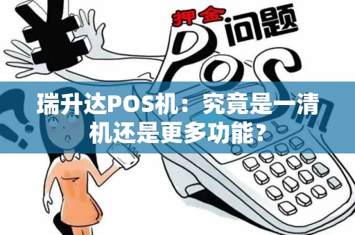 瑞升达POS机：究竟是一清机还是更多功能？