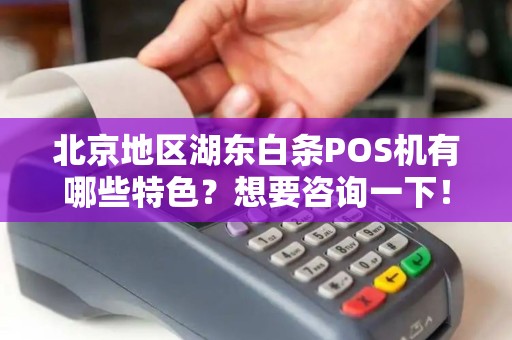 北京地区湖东白条POS机有哪些特色？想要咨询一下！