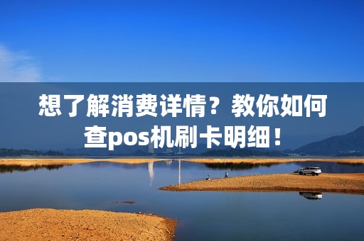 想了解消费详情？教你如何查pos机刷卡明细！