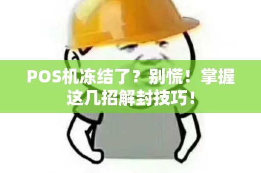 POS机冻结了？别慌！掌握这几招解封技巧！
