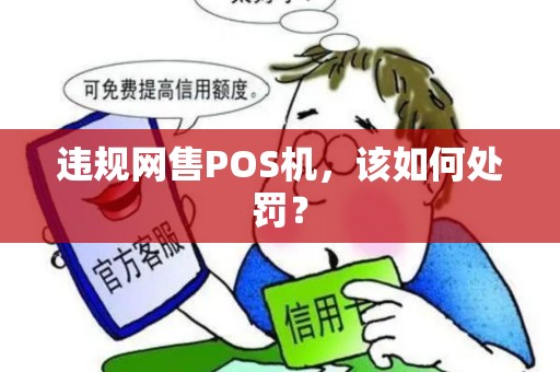 违规网售POS机，该如何处罚？