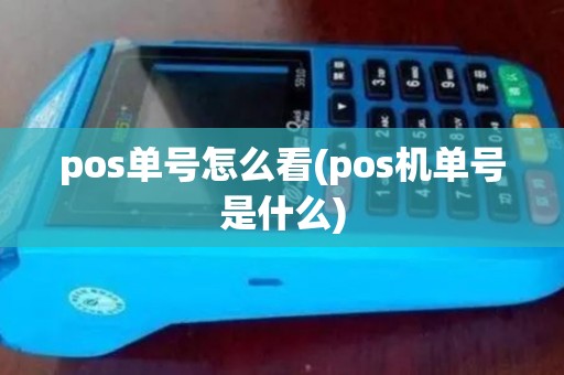 pos单号怎么看(pos机单号是什么)