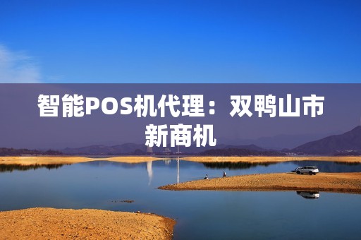 智能POS机代理：双鸭山市新商机