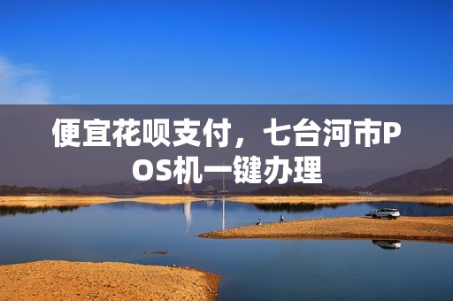 便宜花呗支付，七台河市POS机一键办理