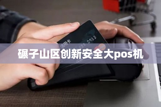 碾子山区创新安全大pos机