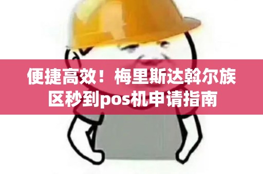 便捷高效！梅里斯达斡尔族区秒到pos机申请指南