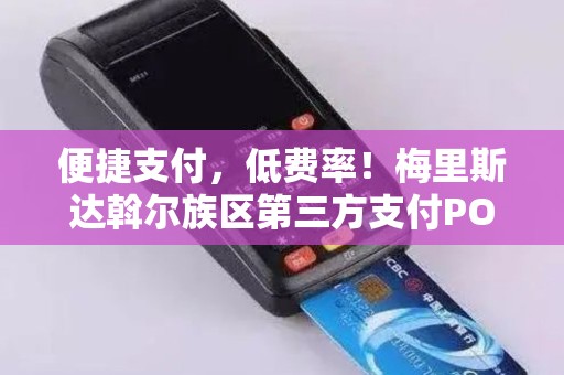 便捷支付，低费率！梅里斯达斡尔族区第三方支付POS机办理指南