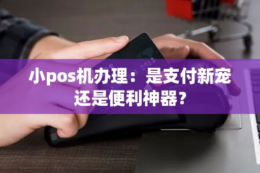 小pos机办理：是支付新宠还是便利神器？