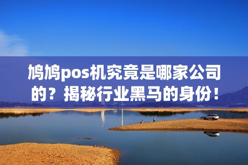 鸠鸠pos机究竟是哪家公司的？揭秘行业黑马的身份！