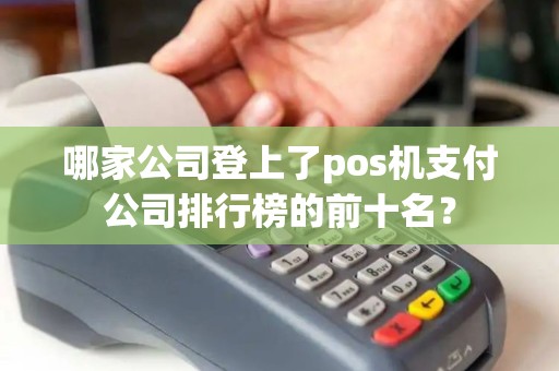 哪家公司登上了pos机支付公司排行榜的前十名？