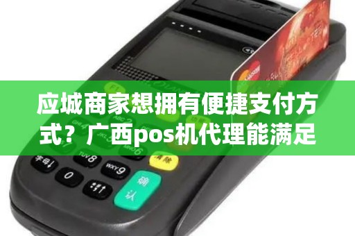 应城商家想拥有便捷支付方式？广西pos机代理能满足需求吗？