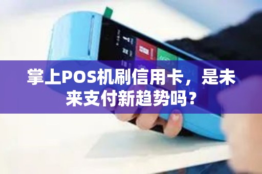 掌上POS机刷信用卡，是未来支付新趋势吗？