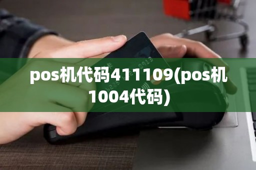 pos机代码411109(pos机1004代码)