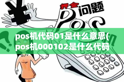 pos机代码01是什么意思(pos机000102是什么代码)