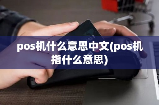 pos机什么意思中文(pos机指什么意思)