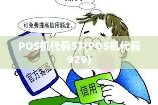 POS机代码57(POS机代码929)