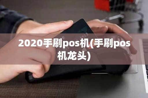 2020手刷pos机(手刷pos机龙头)