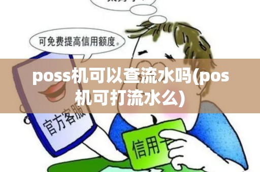 poss机可以查流水吗(pos机可打流水么)