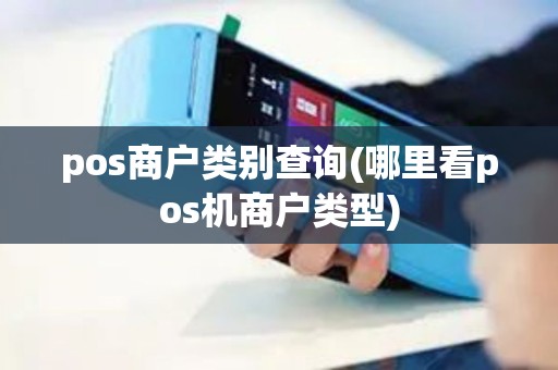 pos商户类别查询(哪里看pos机商户类型)