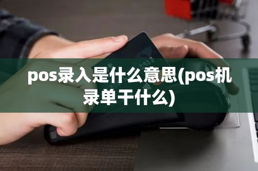 pos录入是什么意思(pos机录单干什么)