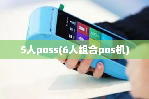 5人poss(6人组合pos机)