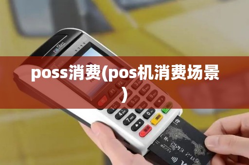 poss消费(pos机消费场景)