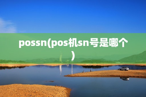 possn(pos机sn号是哪个)