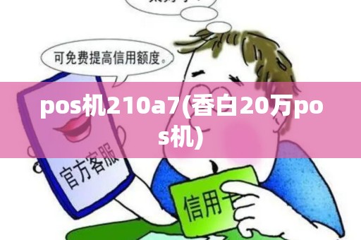 pos机210a7(香白20万pos机)