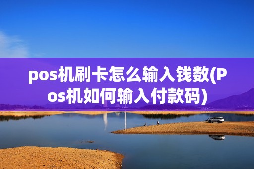 pos机刷卡怎么输入钱数(Pos机如何输入付款码)