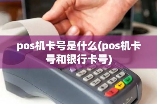 pos机卡号是什么(pos机卡号和银行卡号)