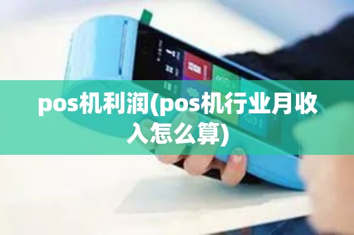 pos机利润(pos机行业月收入怎么算)