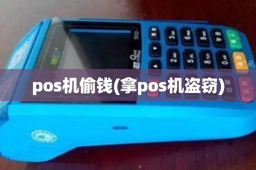 pos机偷钱(拿pos机盗窃)