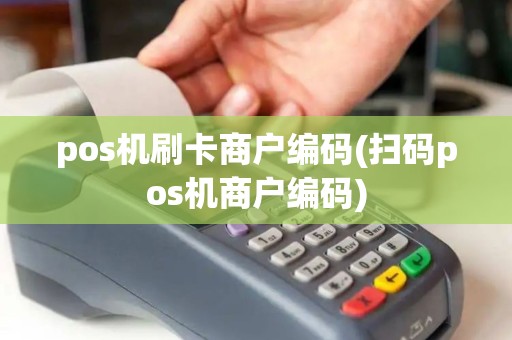 pos机刷卡商户编码(扫码pos机商户编码)