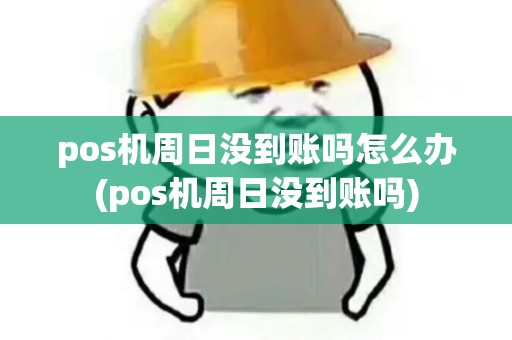 pos机周日没到账吗怎么办(pos机周日没到账吗)