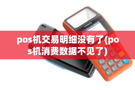 pos机交易明细没有了(pos机消费数据不见了)