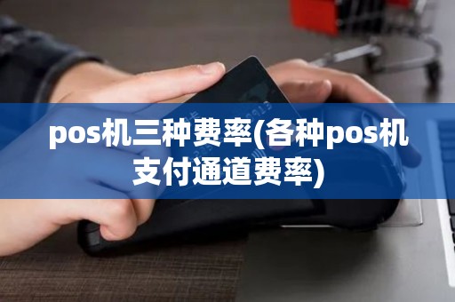 pos机三种费率(各种pos机支付通道费率)