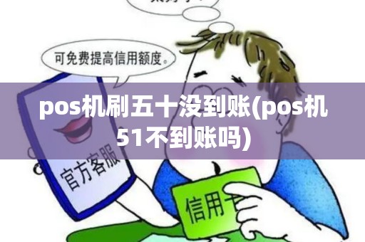 pos机刷五十没到账(pos机51不到账吗)