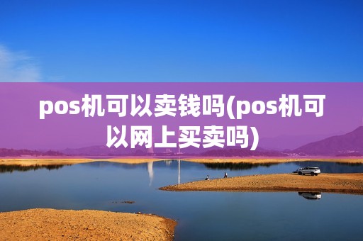 pos机可以卖钱吗(pos机可以网上买卖吗)