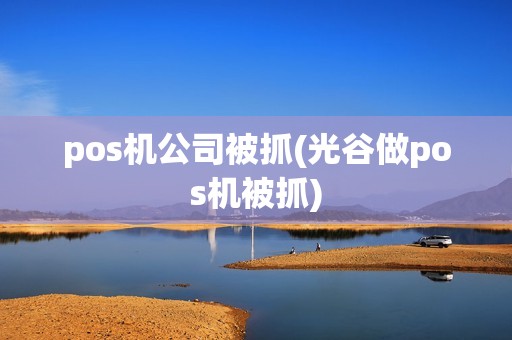 pos机公司被抓(光谷做pos机被抓)