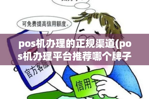 pos机办理的正规渠道(pos机办理平台推荐哪个牌子)