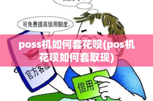 poss机如何套花呗(pos机花呗如何套取现)