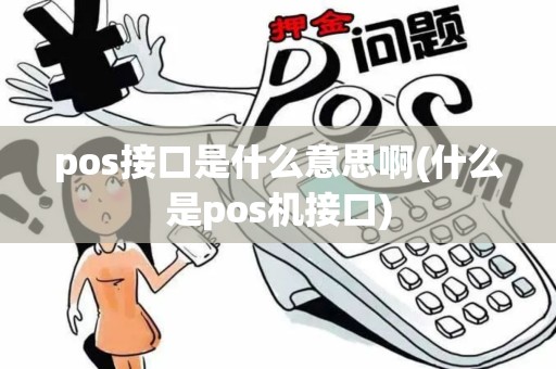 pos接口是什么意思啊(什么是pos机接口)