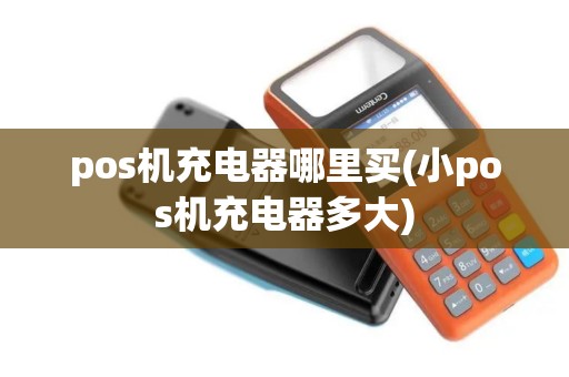 pos机充电器哪里买(小pos机充电器多大)