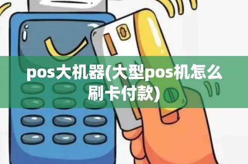 pos大机器(大型pos机怎么刷卡付款)