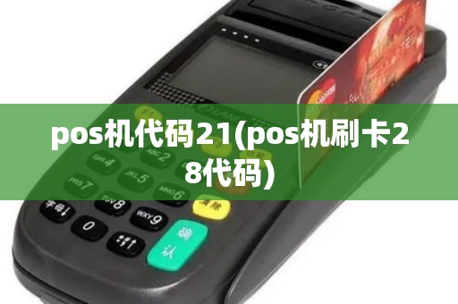 pos机代码21(pos机刷卡28代码)