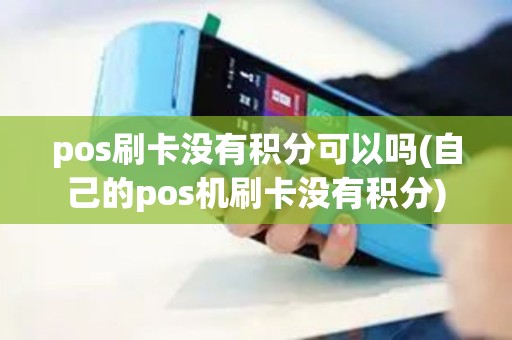 pos刷卡没有积分可以吗(自己的pos机刷卡没有积分)