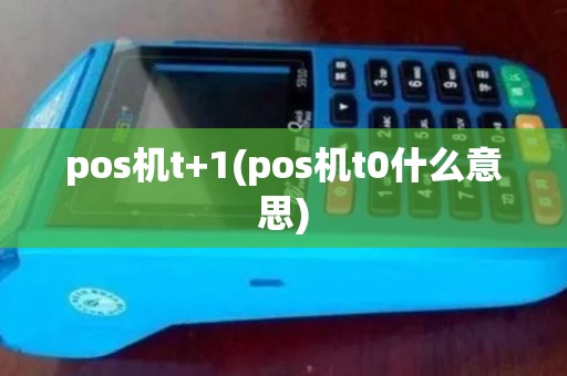 pos机t+1(pos机t0什么意思)